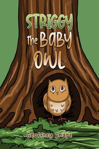 Striggy the Baby Owl