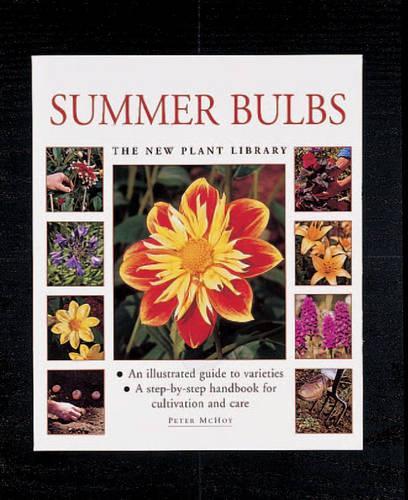 Summer Bulbs