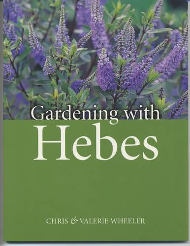 Gardening with Hebes