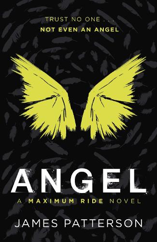 Angel: A Maximum Ride Novel