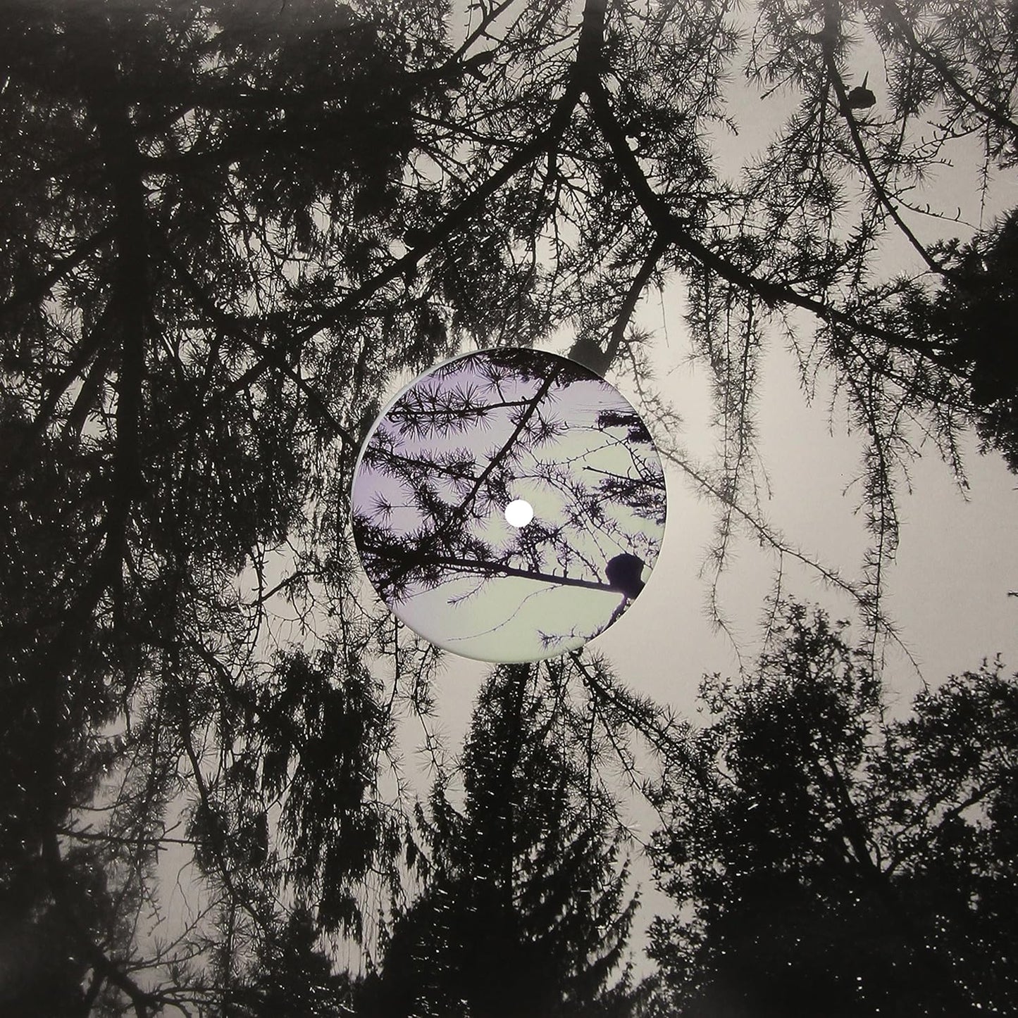 Can't Feel Born EP