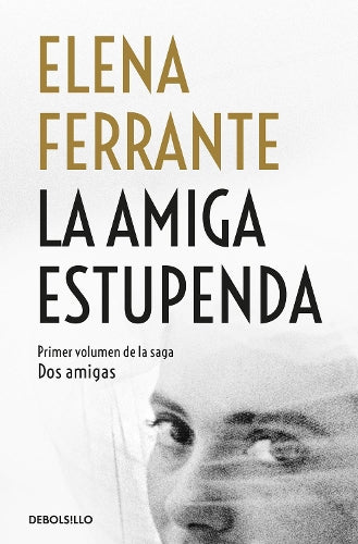 Saga La amiga estupenda / My Brilliant Friend Saga