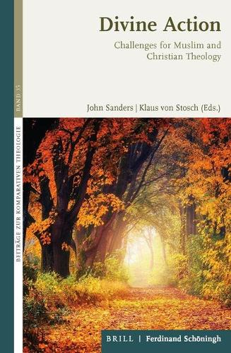 Divine Action: Challenges For Muslim And Christian Theology
