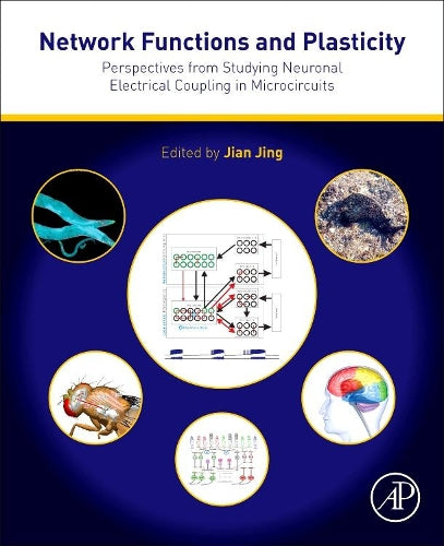 Network Functions and Plasticity
