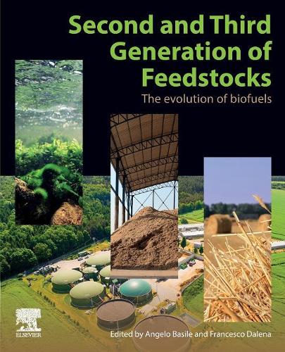 Second and Third Generation of Feedstocks
