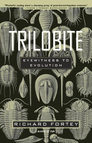 Trilobite