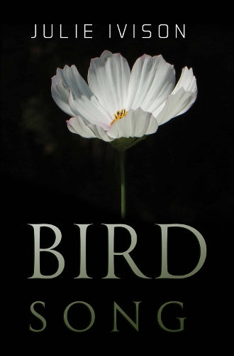 Bird Song