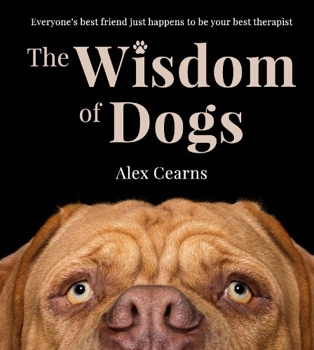 The Wisdom Of Dogs: The adorable and funny new book from the photographer behind the bestselling QUOKKA'S GUIDE TO HAPPINESS and ZEN DOGS