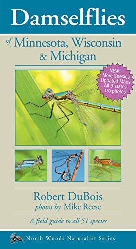Damselflies Of Minnesota Wisco