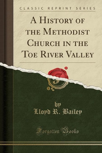 A History of the Methodist Church in the Toe River Valley (Classic Reprint)