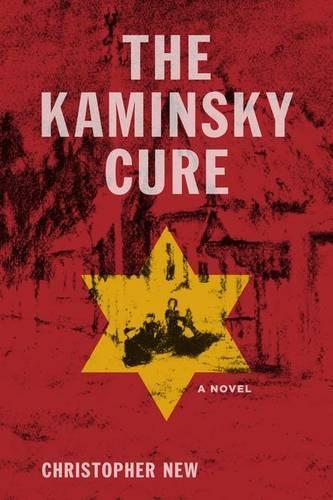 The Kaminsky Cure