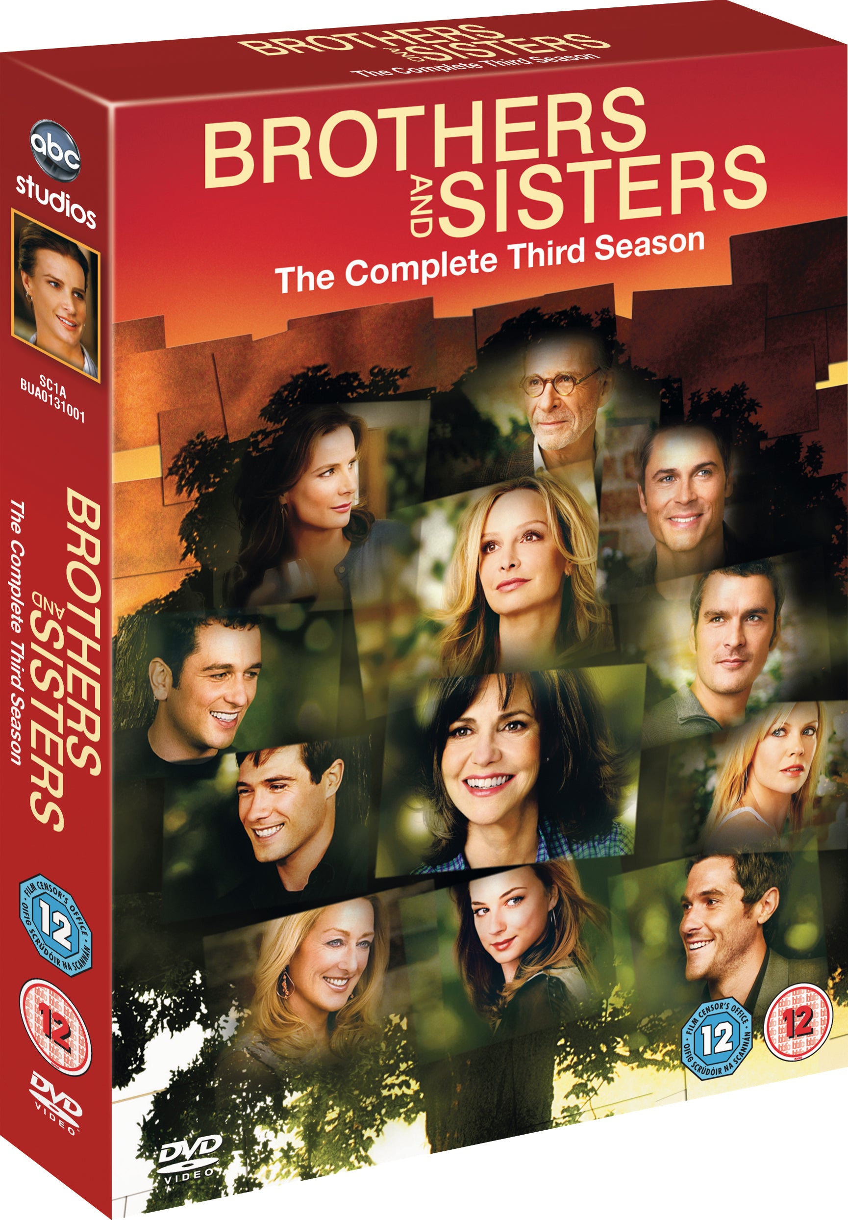 Brothers and Sisters: The Complete Third Season