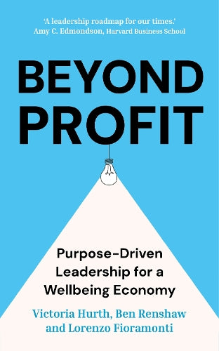 Beyond Profit