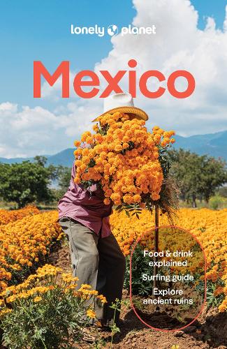 Lonely Planet Mexico (Travel Guide