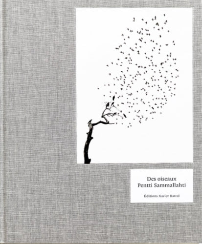 Pentti Sammallahti - Des Oiseaux