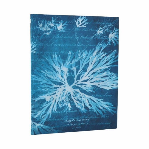 Sea Flowers (Anna Atkins’ Cyanotypes) Ultra Unlined Softcover Journal (Elastic Band Closure)