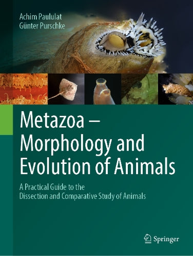 Metazoa – Morphology and Evolution of Animals