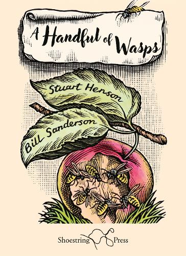 A Handful of Wasps
