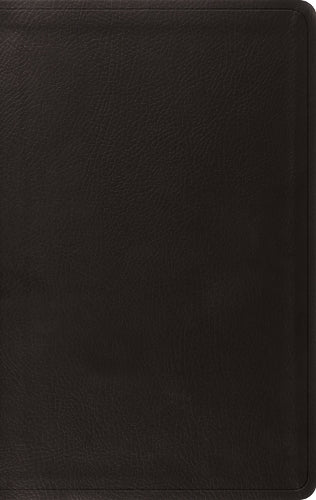 ESV Value Thinline Bible, Red Letter