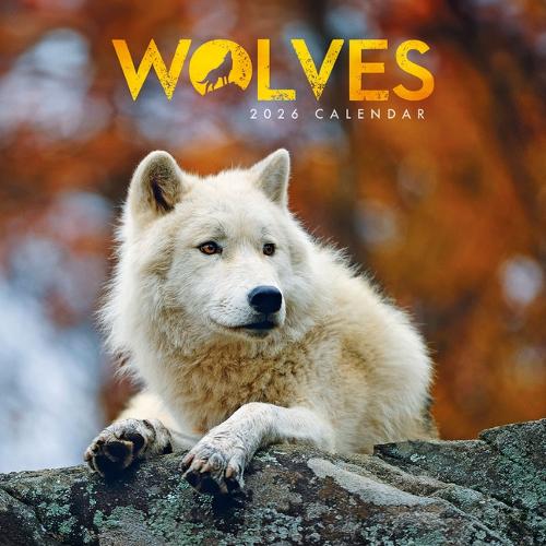 2026 Wolves Mini Wall Calendar