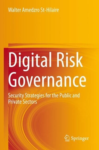 Digital Risk Governance: Security Strategies for the Public and Private Sectors
