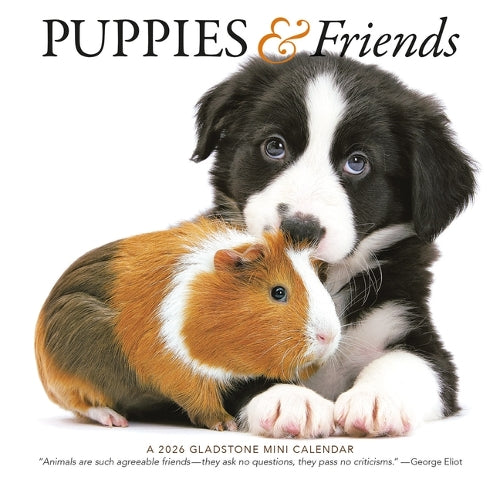Puppies & Friends