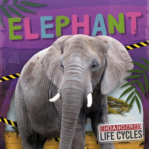 Elephant (Endangered Life Cycles