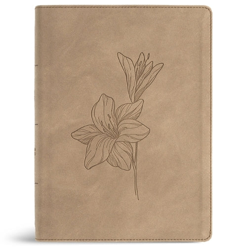 CSB Verse-By-Verse Reference Bible, Digital Study Edition, Earth Suedesoft Leathertouch