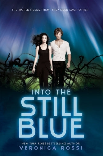 Into the Still Blue