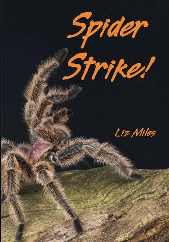 Spider Strike!