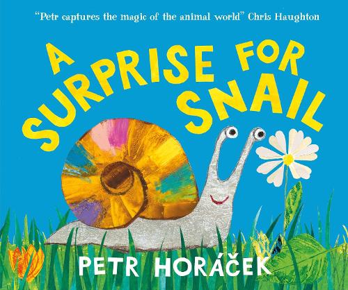 A Surprise for Snail