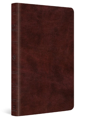 ESV Large Print Thinline Bible