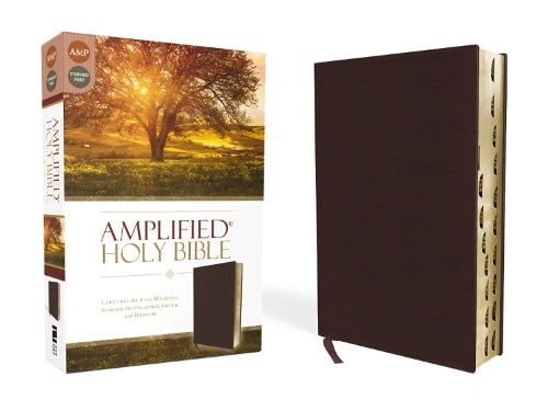 Amplified Holy Bible, Bonded Leather, Burgundy, Thumb Indexed