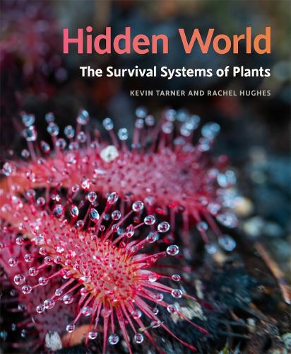 Hidden World