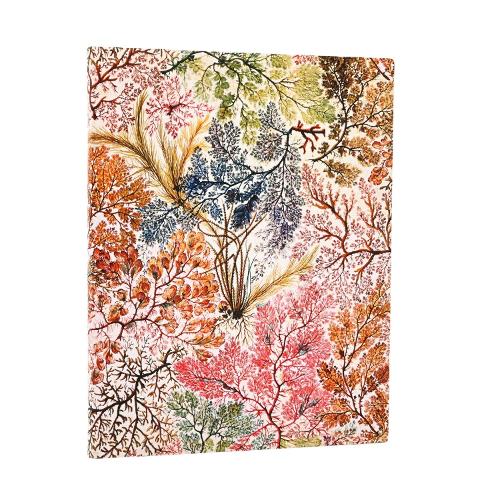 Anemone (William Kilburn) Ultra Lined Softcover Flexi Journal (Elastic Band Closure)