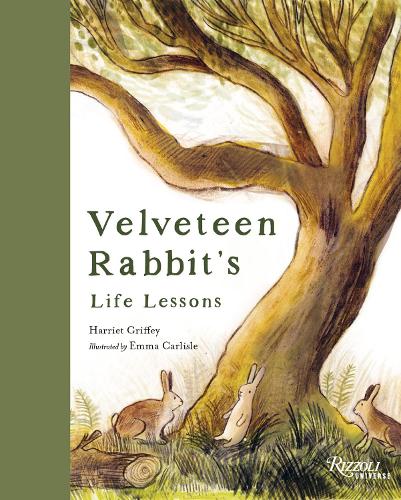 Velveteen Rabbit's Life Lessons