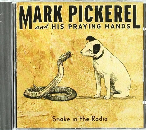 Snake in the Radio