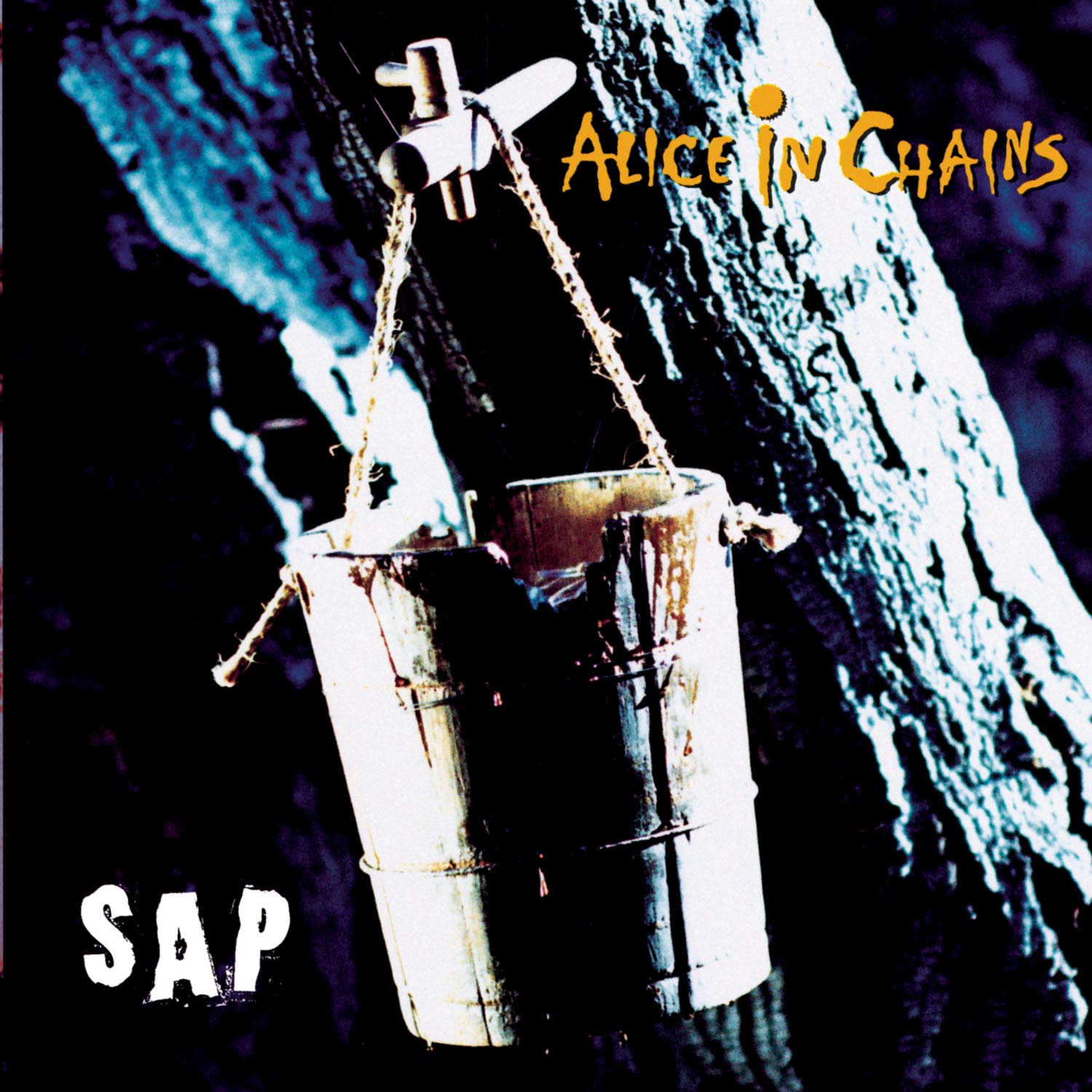 SAP