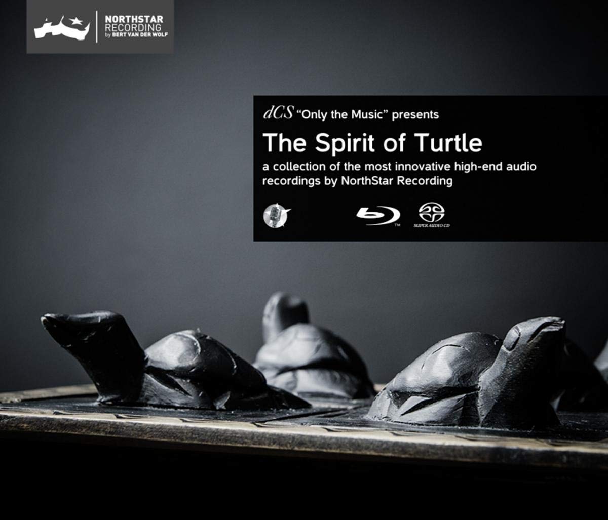 The Spirit Of Turtle