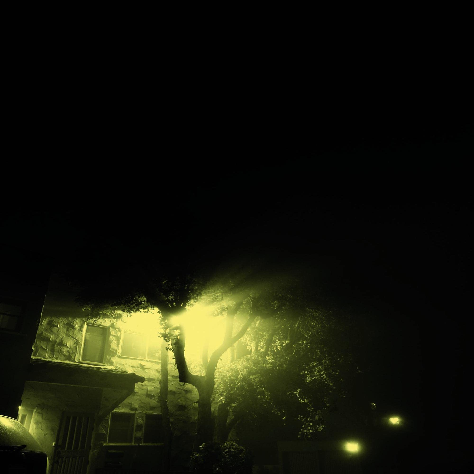 Endless Midnight