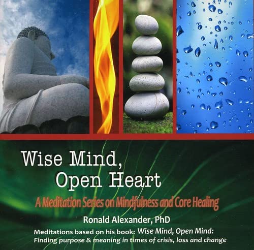 Wise Mind Open Heart