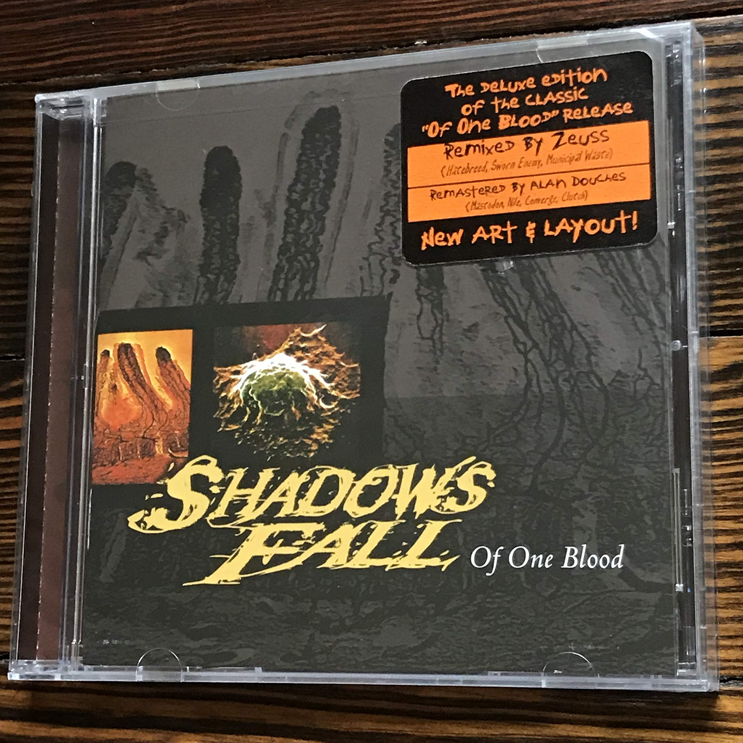 Shadows Fall-Of One Blood