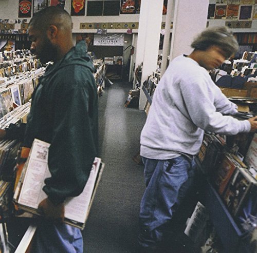 Endtroducing....
