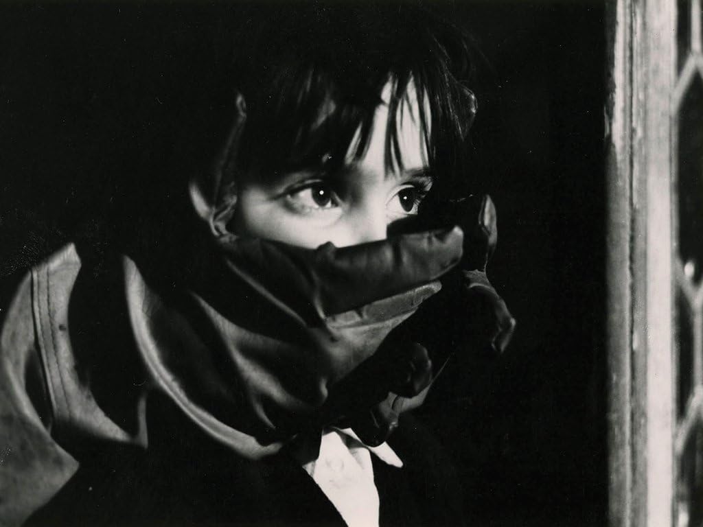 The Spirit of the Beehive (Criterion Collection)