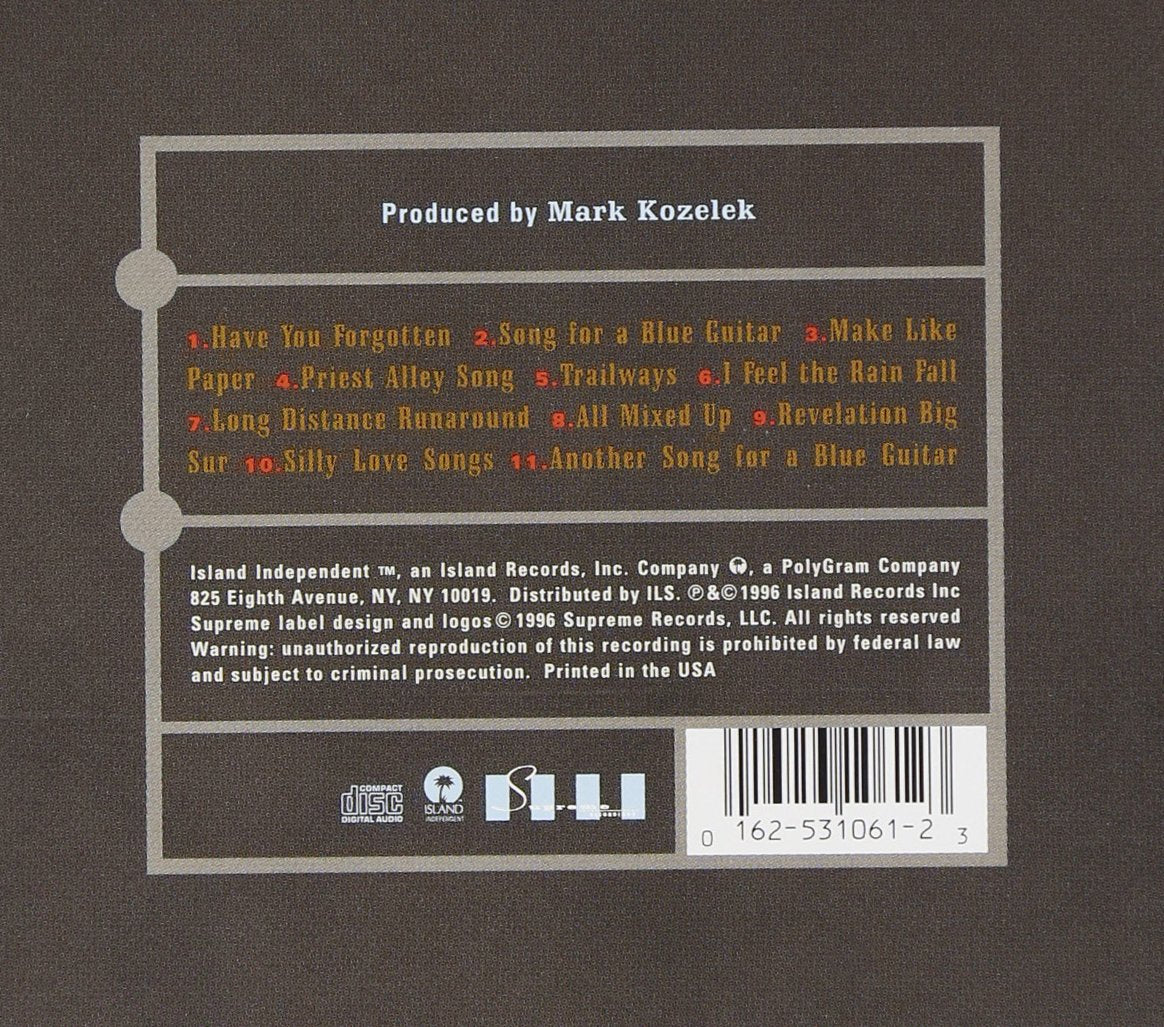 Songs for a Blue Guitar