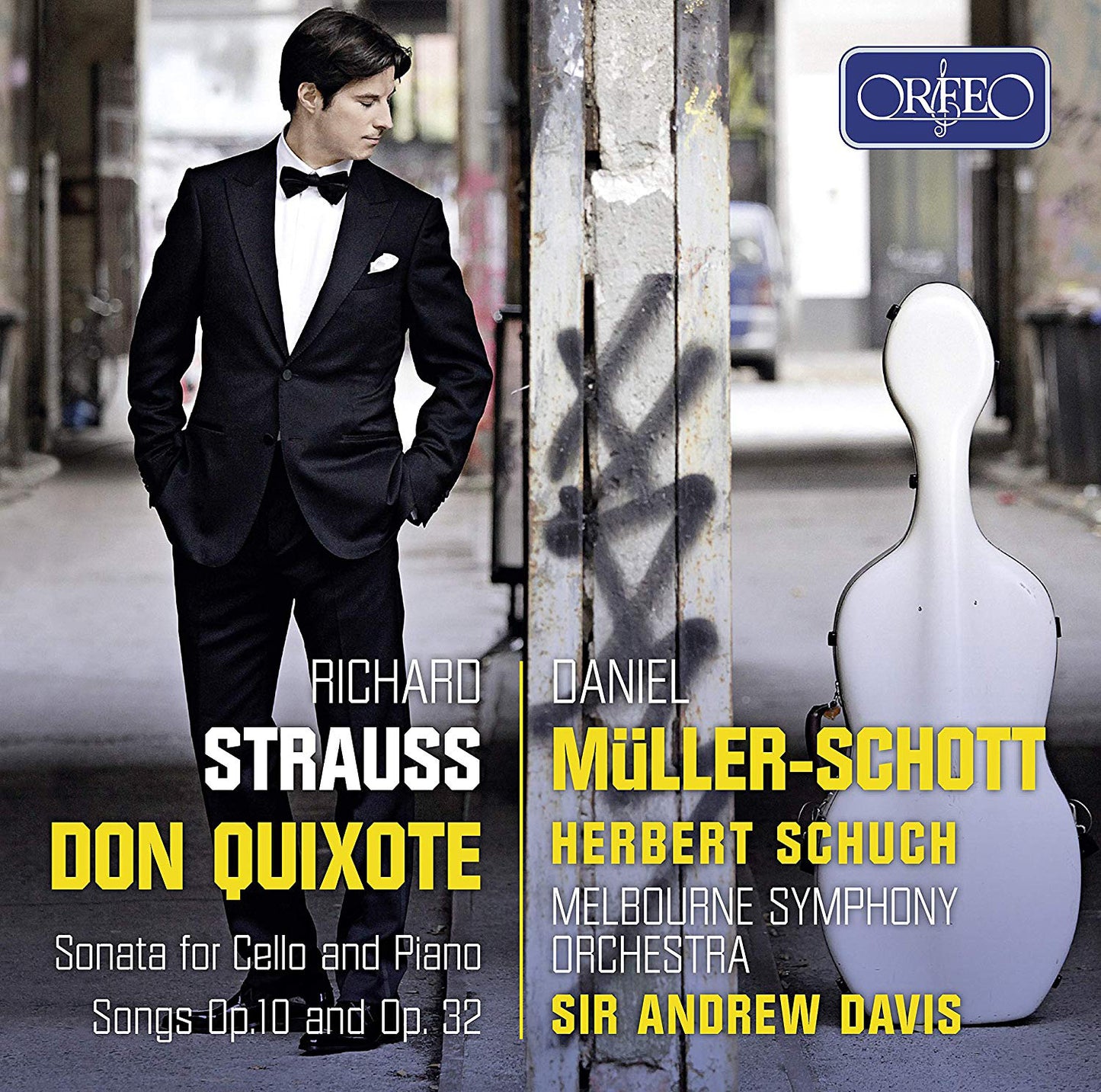 Richard Strauss: Don Quixote/Sonata for Cello and Piano/...