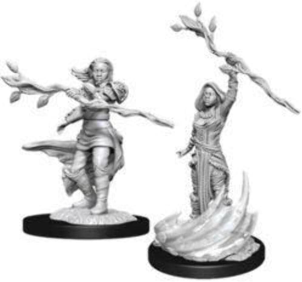 D&D Nolzur's Marvelous Miniatures: Male Human Druid