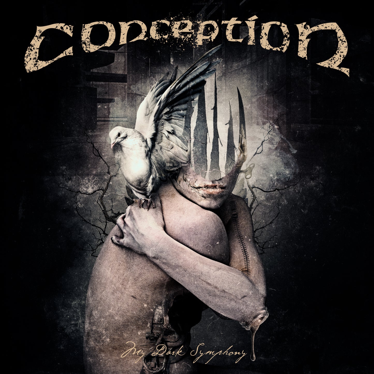 My Dark Symphony