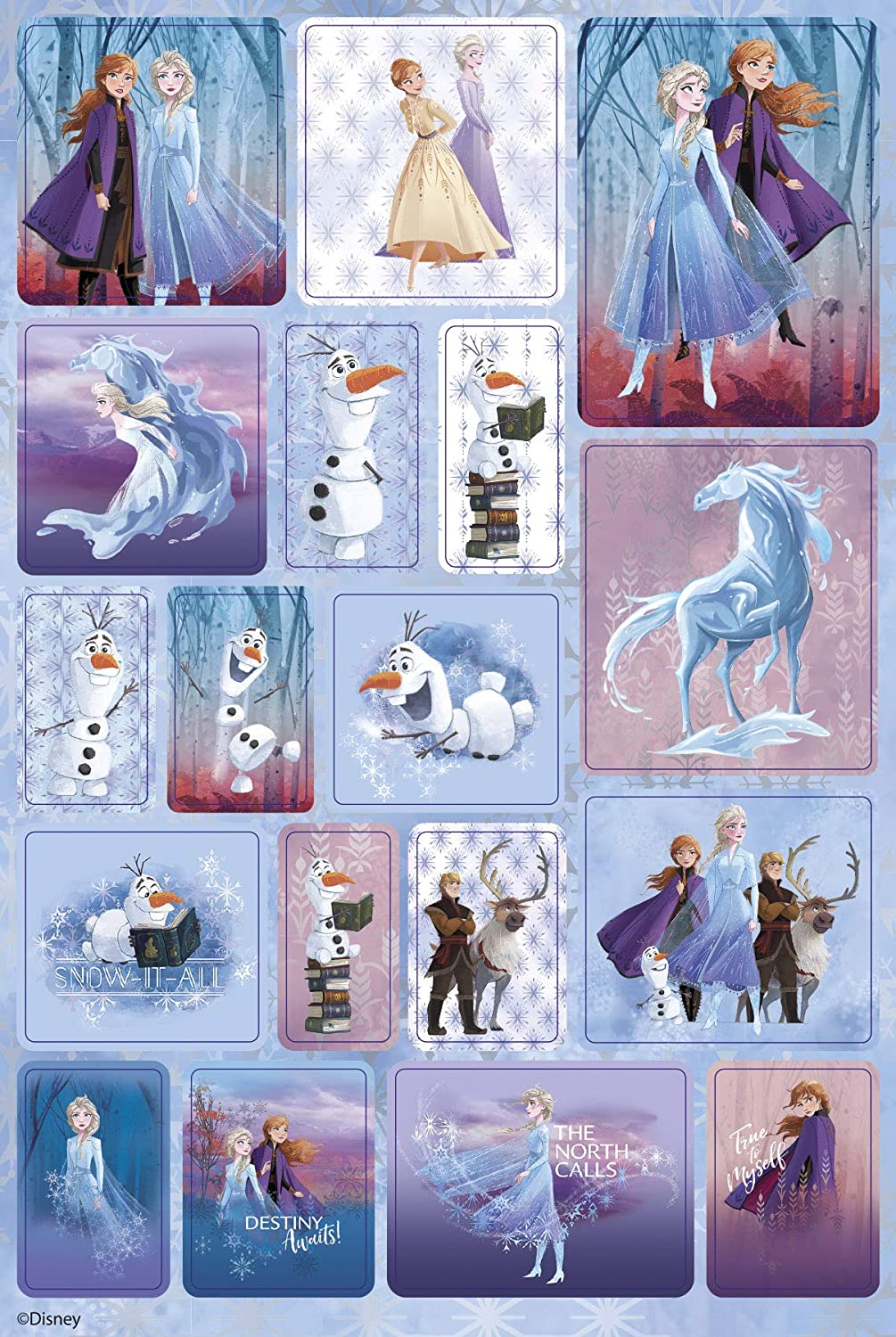 Large Frozen II Sticker Box with Over 1100 Stickers on 12 Rolls with Anna & Elsa Designs - Ideal for Scrapbooking and Crafts