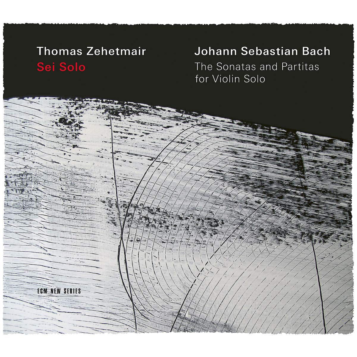 Sei Solo: Johann Sebastian Bach: The Sonatas and Partitas For...